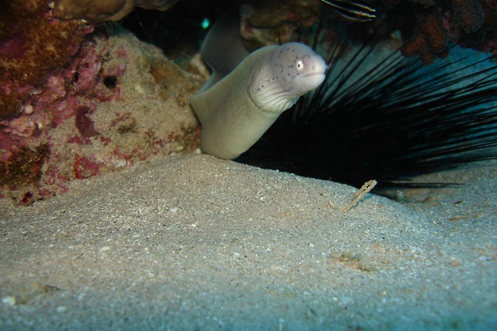 2008-11-09 15-52-34.JPG